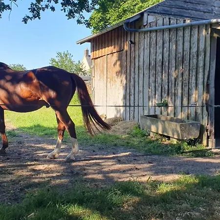 D'hotes Chez L'habitant, Circuit 24h, Pole Europeen Du Cheval, Etc Marigne-Laille